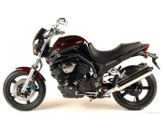 Yamaha BT1100 Bulldog Yamaha BT1100 Bulldog